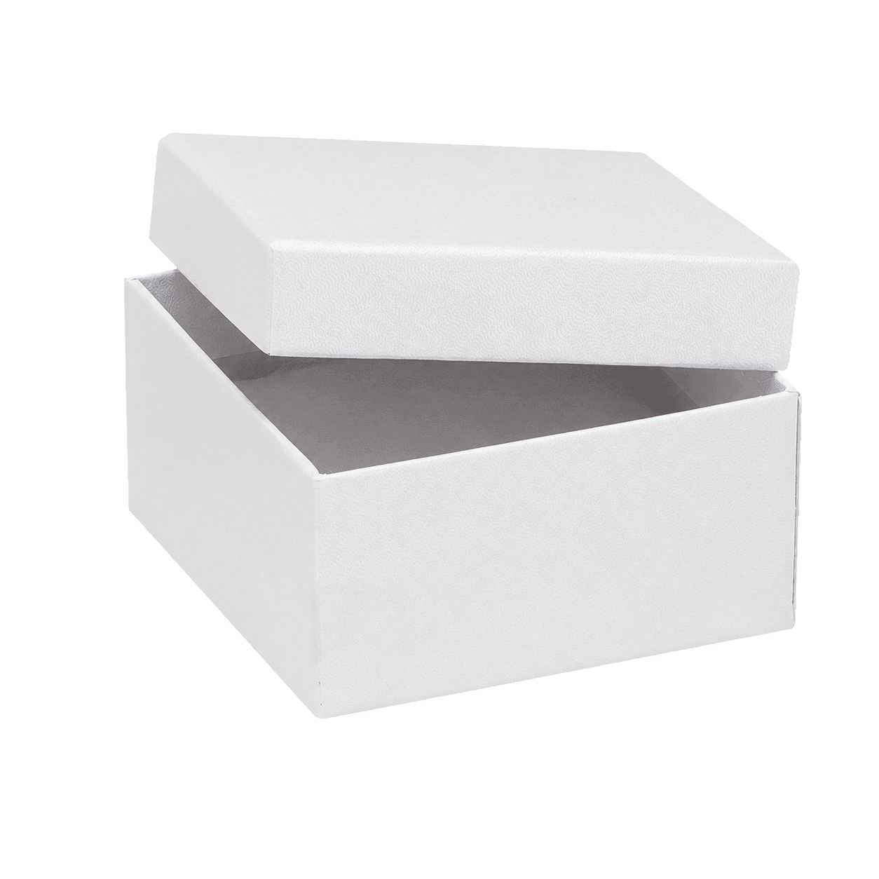 Lid and Base Food Container